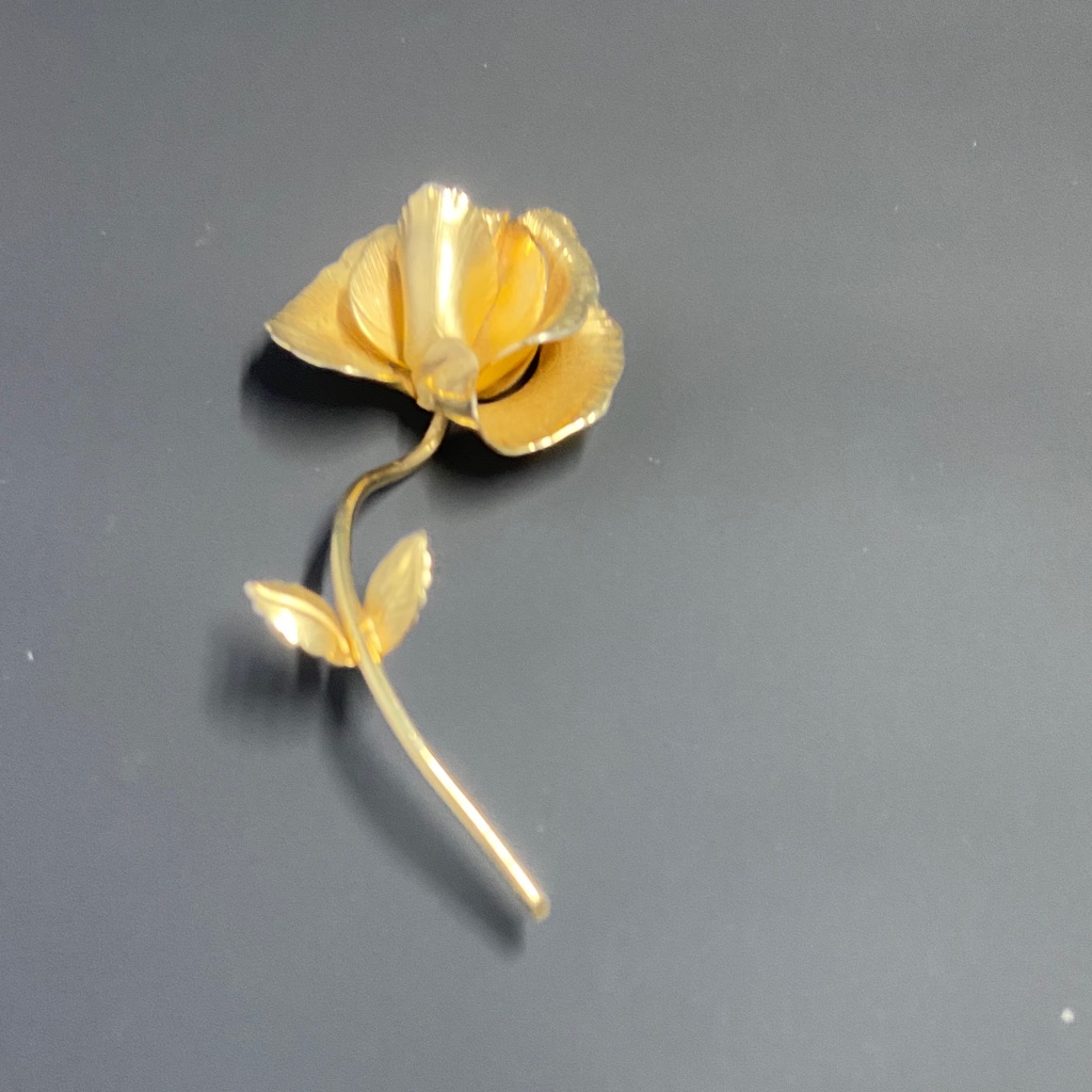 Chic Gold Floral Brooch 25$